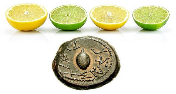 Hur citrusfrukter blev en forntida statussymbol